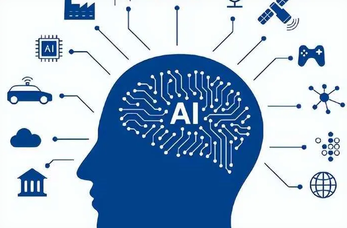 新竹优化企业行业发展机遇、挑战与前景整体分析